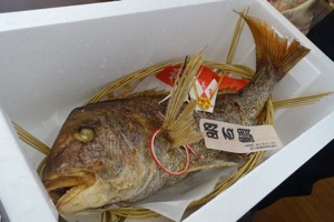 謹賀新年_d0133485_234309.jpg