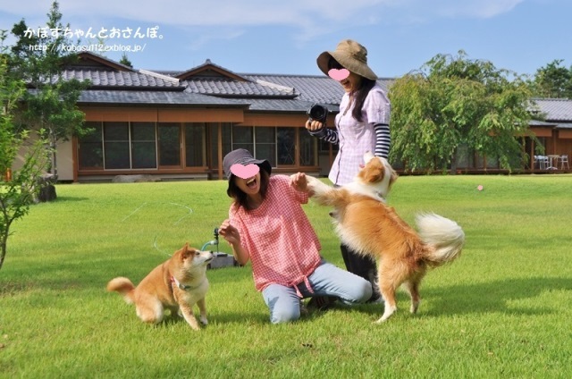 かぼす家2015年10大ニュース_a0126590_08125038.jpg