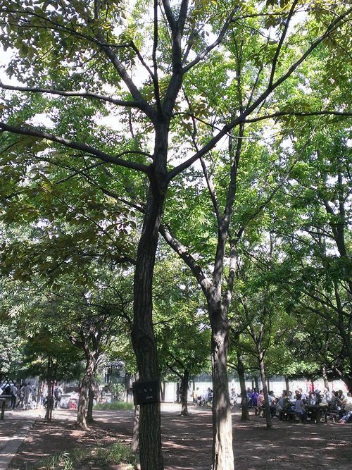 c0001491_15142180.jpg