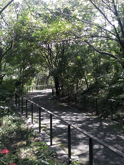 c0001491_15142325.jpg