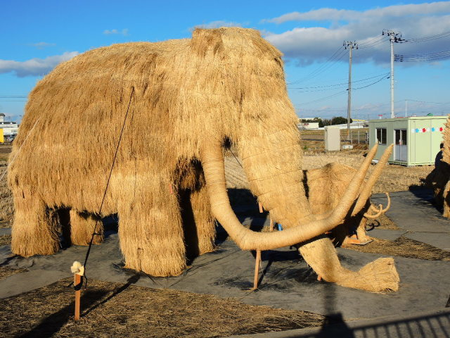 f0100593_07100750.jpg