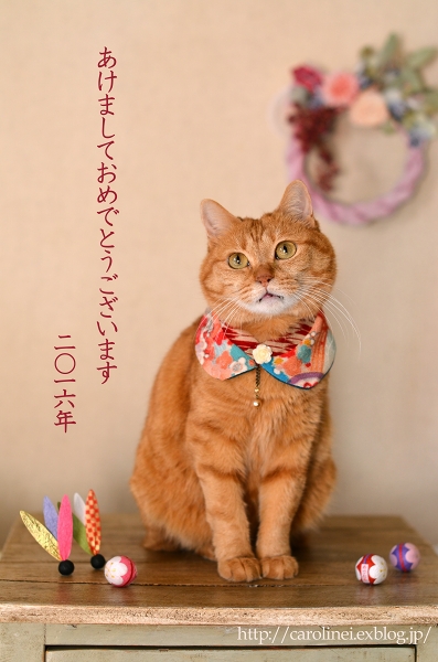 猫襟とお揃い小物で、新年の幕開け　Handmade Cat\'s Collar & Matching Accessories_d0025294_18295232.jpg