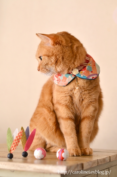 猫襟とお揃い小物で、新年の幕開け　Handmade Cat\'s Collar & Matching Accessories_d0025294_18305828.jpg