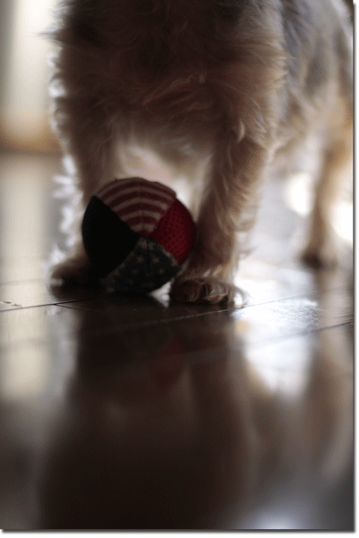f0128096_2363829.gif