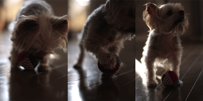 f0128096_2373150.gif