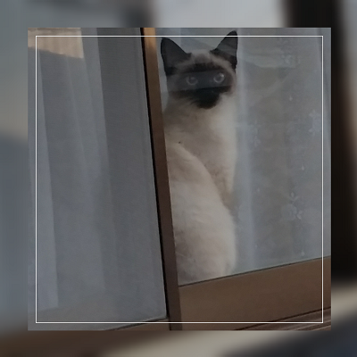e0143298_21585336.png