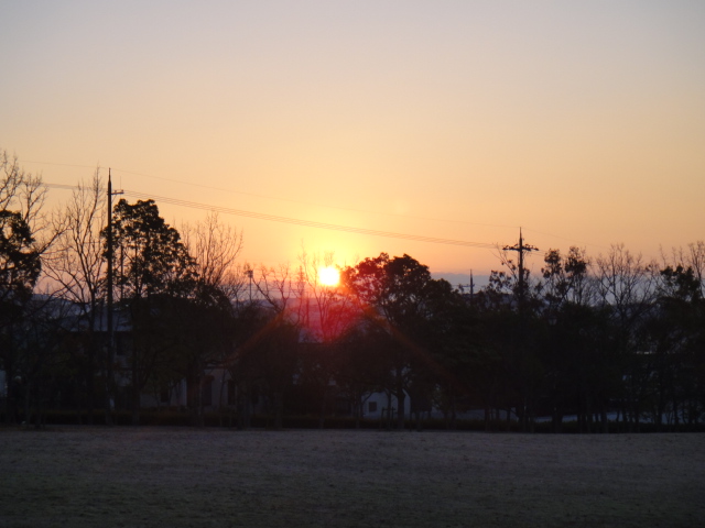 b0108100_12552879.jpg
