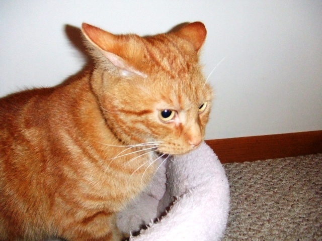 c0062603_17032415.jpg