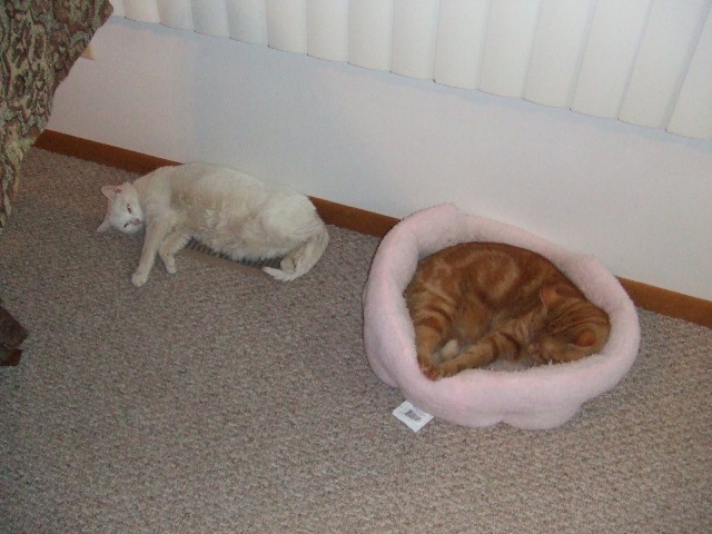 c0062603_17044624.jpg