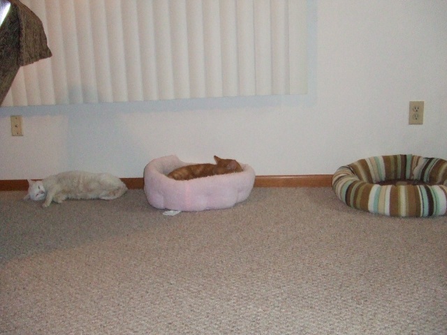 c0062603_17045822.jpg