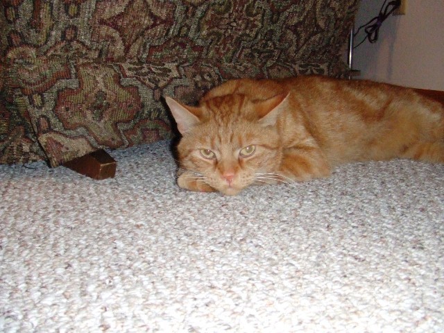 c0062603_17052663.jpg