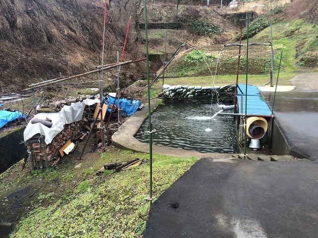 はしば食堂　Ｈ27.12　飯山市富倉_f0191007_10464248.jpg