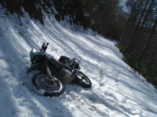 e0118908_14501978.jpg