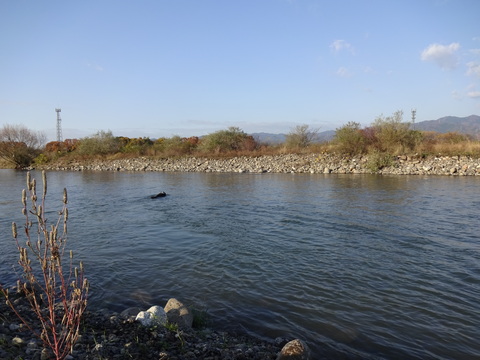 b0239909_12395439.jpg