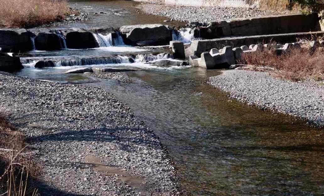 e0003910_20315927.jpg