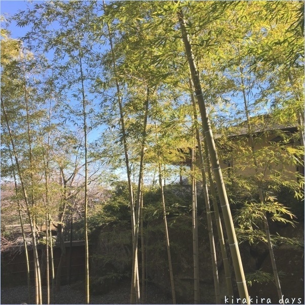 2016年 新年ご挨拶_f0354014_08423130.jpg