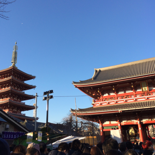 謹賀新年!_d0336521_16250777.jpg