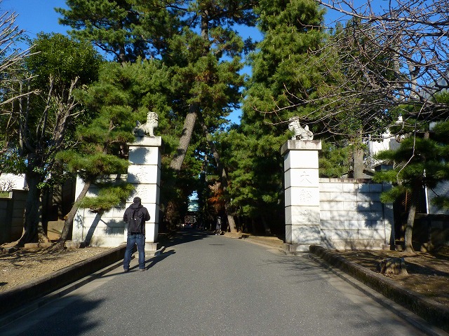 赤堤の高速ランナーの後はにゃんこ寺♪_b0166128_1751751.jpg