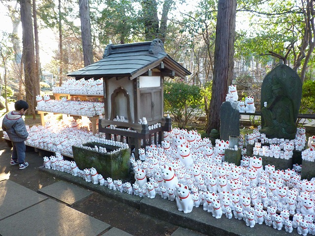 赤堤の高速ランナーの後はにゃんこ寺♪_b0166128_1854112.jpg