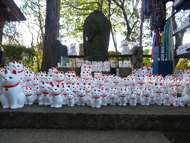 赤堤の高速ランナーの後はにゃんこ寺♪_b0166128_1855789.jpg