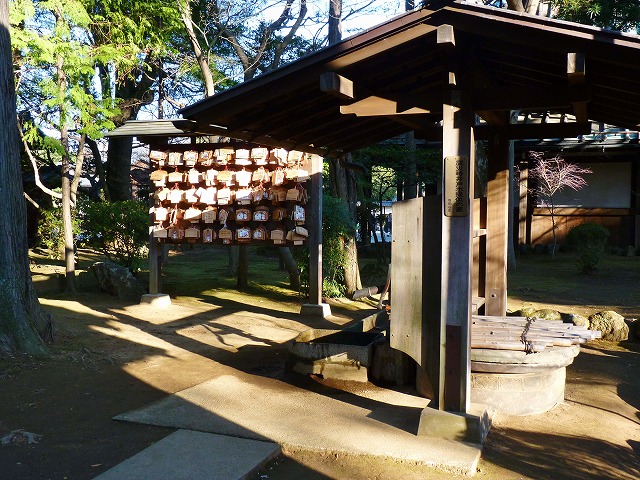 赤堤の高速ランナーの後はにゃんこ寺♪_b0166128_189720.jpg