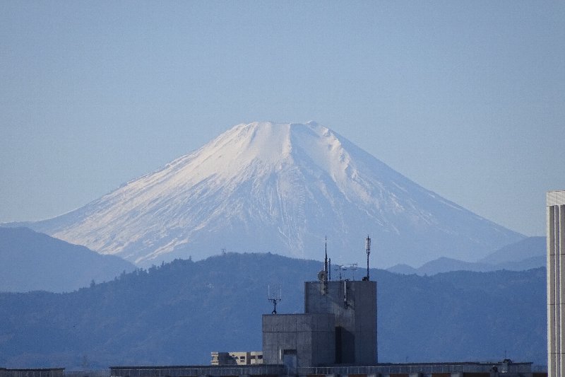 a0122932_1291343.jpg