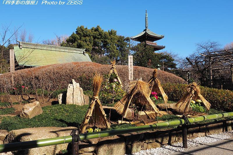 上野東照宮ぼたん苑にて（2016年）①_a0195032_21361176.jpg