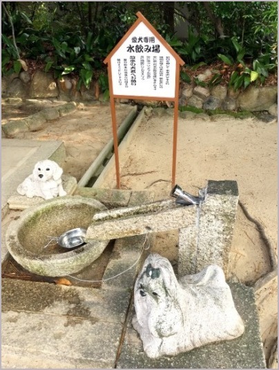 d0017632_13195895.jpeg