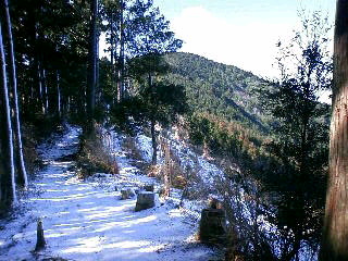 雪の熊野古道_d0163834_9275557.jpg