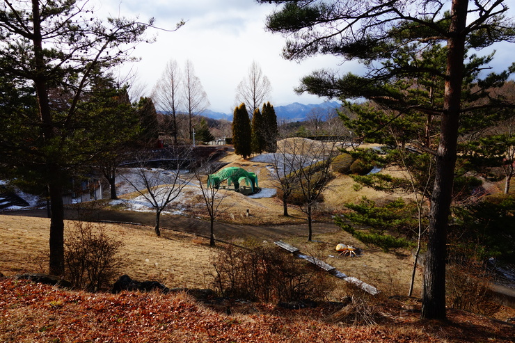 駆け足で巡る年末出張 その7～上田市市民の森公園_a0287336_2251980.jpg