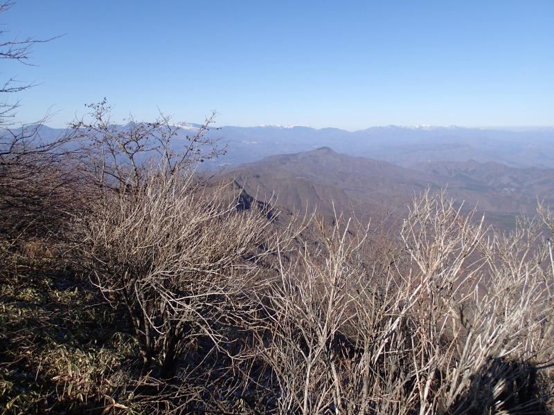 b0190242_1134510.jpg