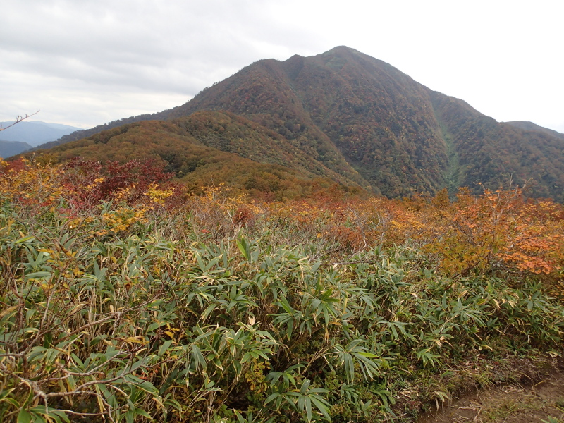 b0190242_12533327.jpg