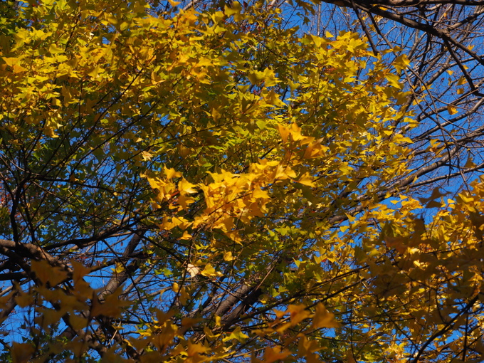b0190242_1371151.jpg