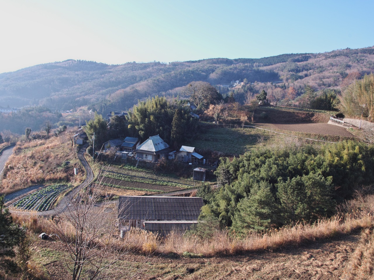 c0008948_15324022.jpg