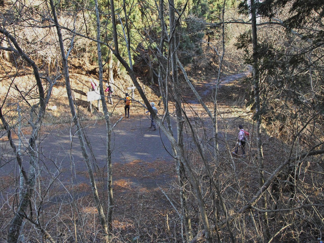 c0008948_1635421.jpg