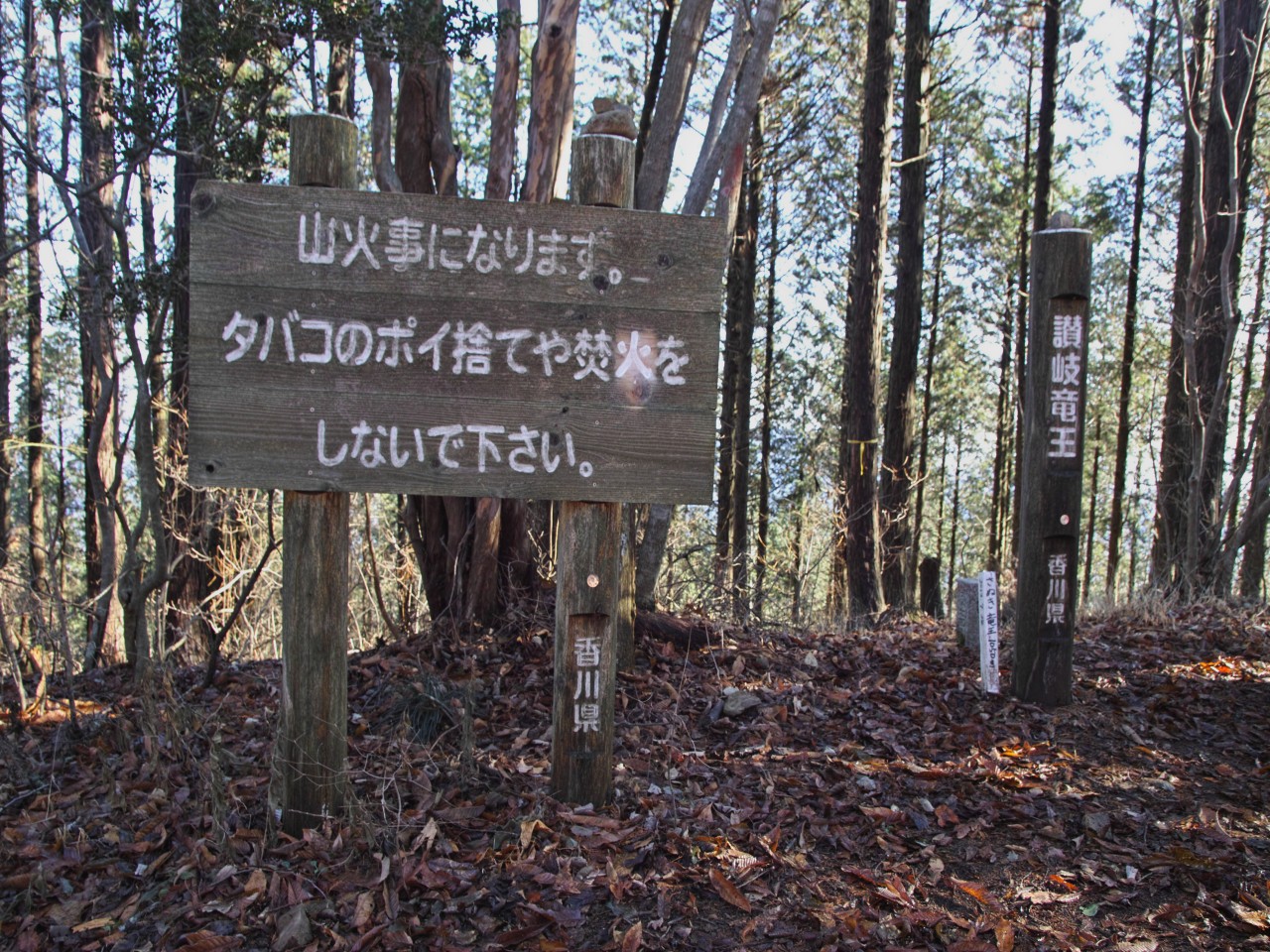 c0008948_16524031.jpg