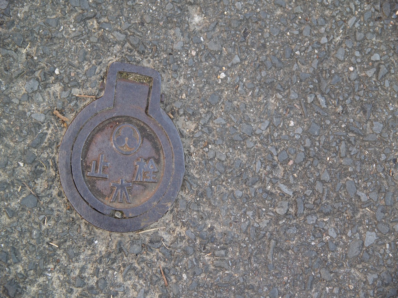 c0008948_17532227.jpg