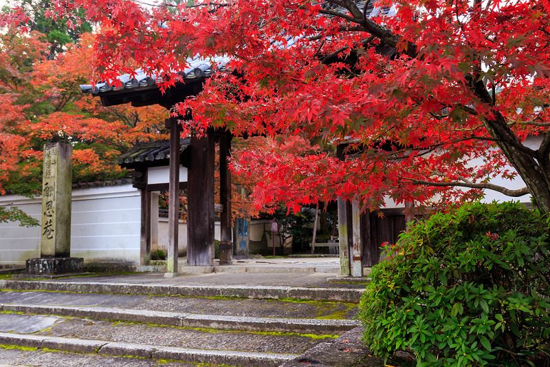 京都の紅葉2015・一休寺の秋_f0155048_22433453.jpg