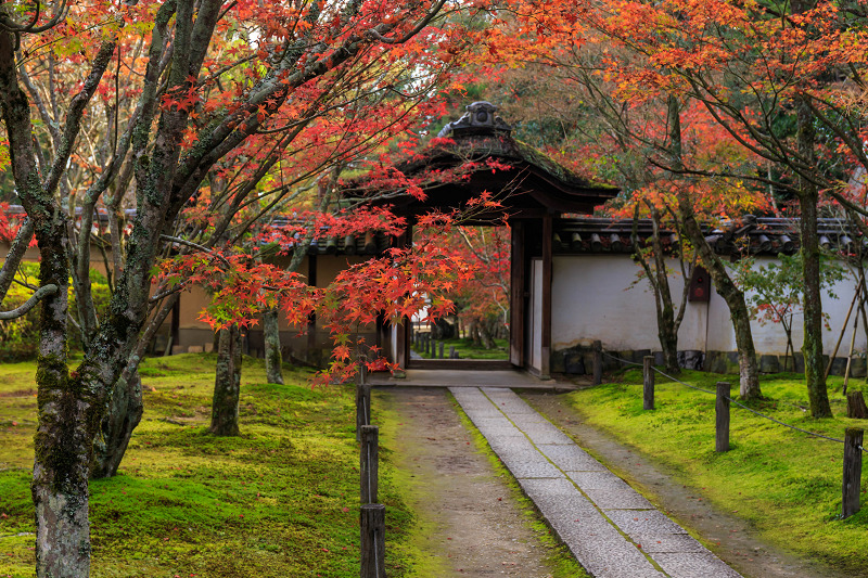 京都の紅葉2015・一休寺の秋_f0155048_22562922.jpg