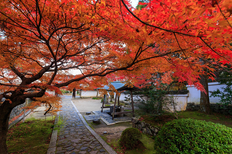 京都の紅葉2015・一休寺の秋_f0155048_23171834.jpg