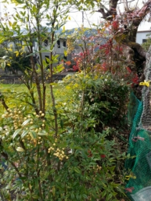 c0330749_22353425.jpg