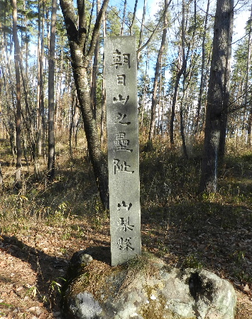 e0172950_20455299.jpg