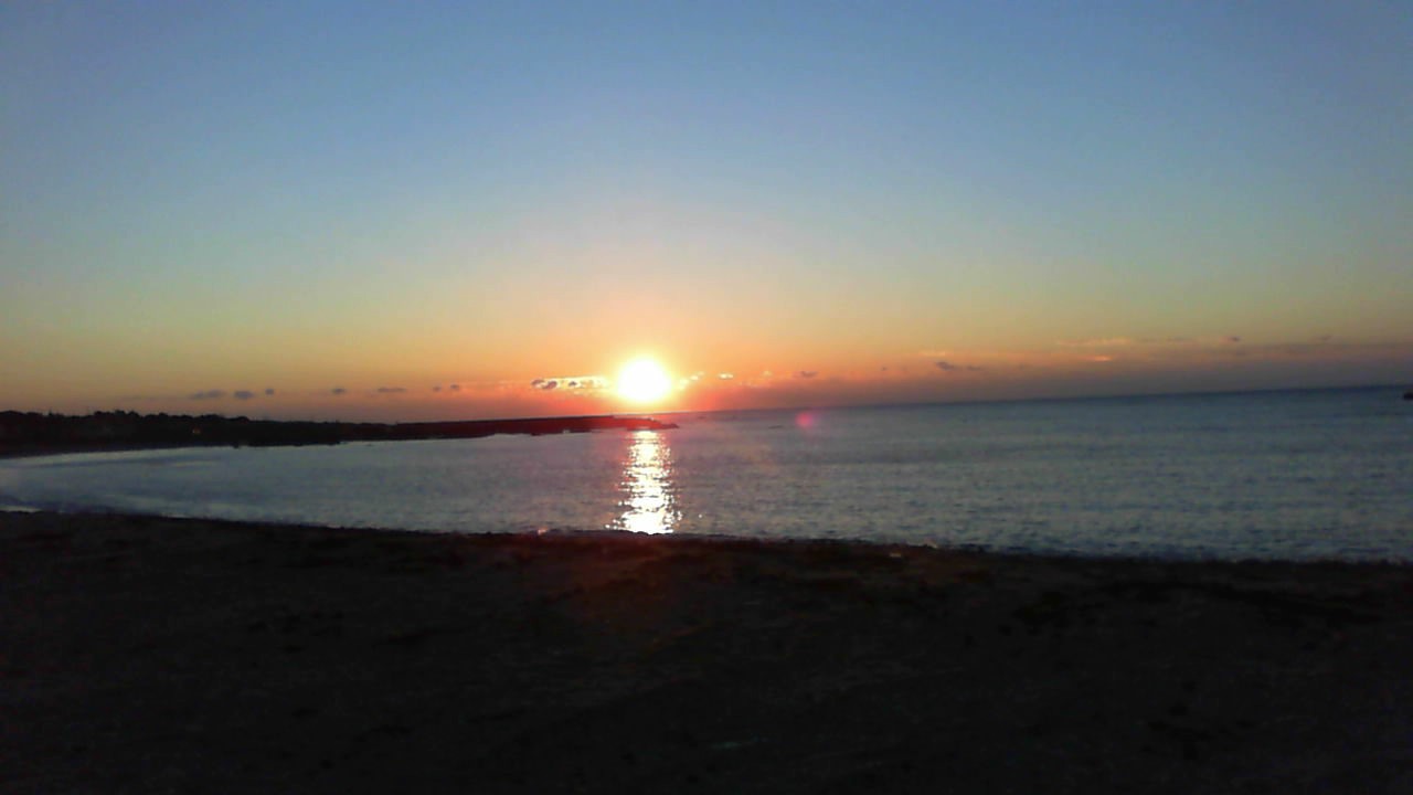 a0112751_118180.jpg