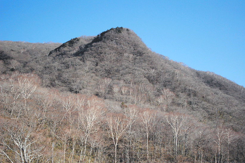 a0001354_23125495.gif