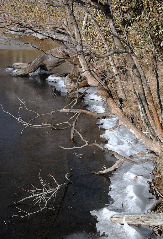 a0001354_23173191.gif