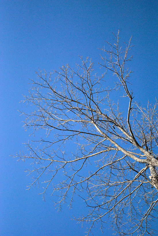 a0001354_2319237.gif