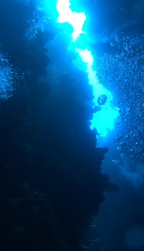 c0351060_06431478.png