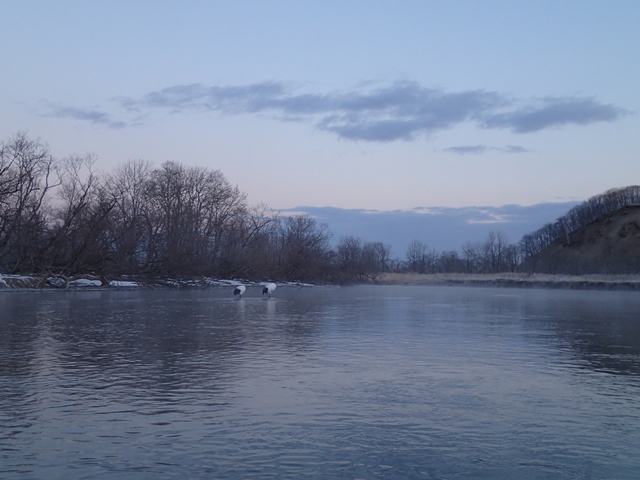 e0153062_813666.jpg
