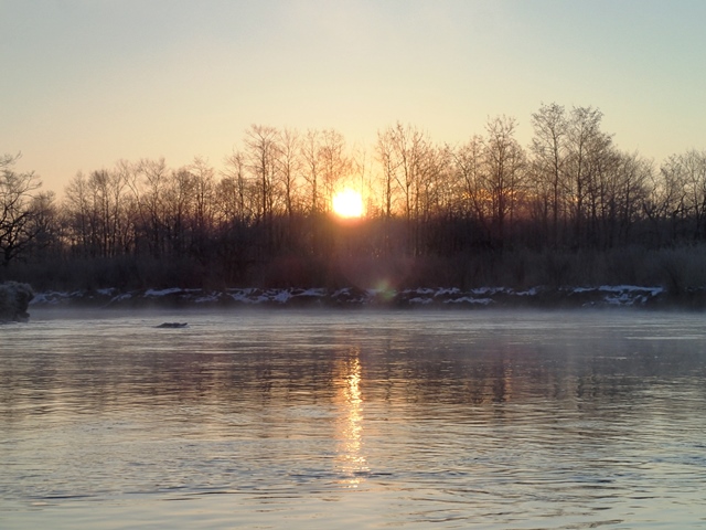 e0153062_8165212.jpg