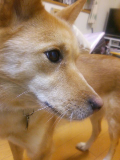 d0183577_2120112.jpg